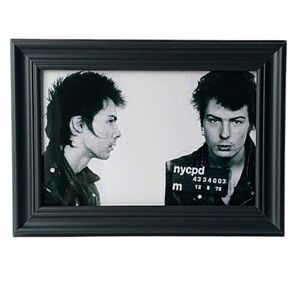 Sid vicious Sex Pistols Mugshot Vintage Retro Punk Rock Cbgbs Nyc Musical Icon